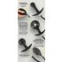 You2Toys - Kugel-Pump-Analdildo (Schwarz)