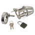 You2Toys Chastity Cage: Metall Peniskäfig mit Schloss