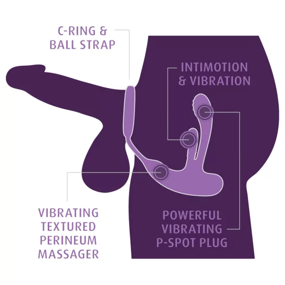 Anal Fantasy Ass-Gasm IntiMotion - Anal- und Prostatavibrator (schwarz)