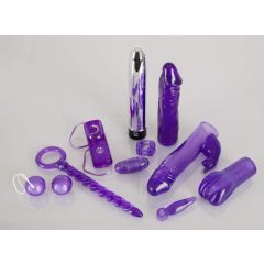 You2Toys - Purple Appetizer - Vibrator-Set (9-teilig)