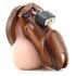 CB-6000 - Luxus Peniskäfig mit Schloss (Holz)