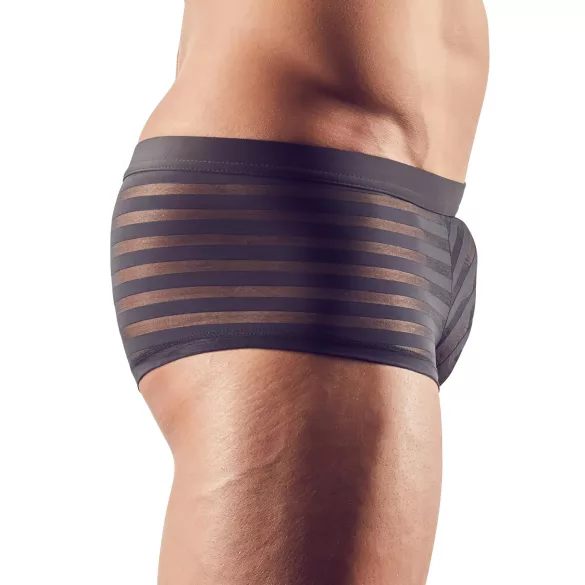 Svenjoyment - Transparente, gestreifte Boxershorts (schwarz)