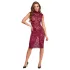 Cottelli - transparentes Spitzenkleid (bordeaux) - M