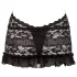 Cottelli - Halsband-Spitzen-Minikleid (schwarz)
