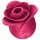 Satisfyer Pro 2 Rose Modern - Luftwellen-Klitorisstimulator (Rot)