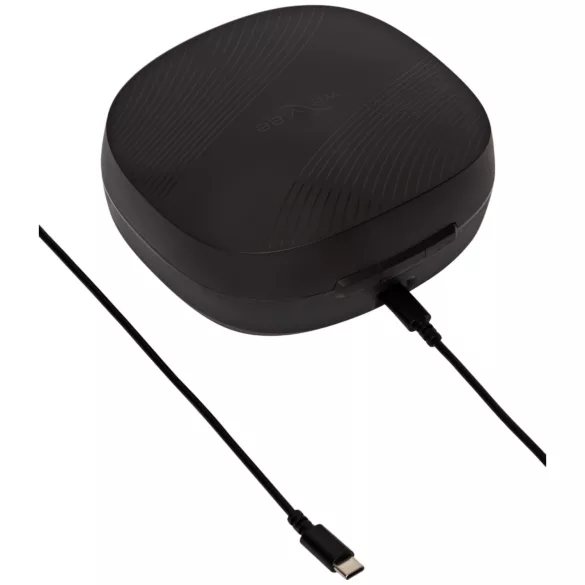 We-Vibe Chorus Pro - intelligenter, fernsteuerbarer Paarvibrator (Schwarz)