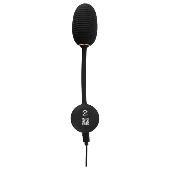 You2Toys Intense RC - vibrierendes Ei (schwarz)