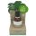 Coconutoil - Bio Haarentfernung & Aftershave Öl (50ml)