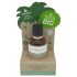 Coconutoil - Bio Haarentfernung & Aftershave Öl (50ml)