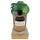 Coconutoil - Bio Bräunungsöl (80ml)