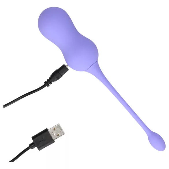 Loveline - Akku-Vibrations-Geschenk aus Radio (lila)