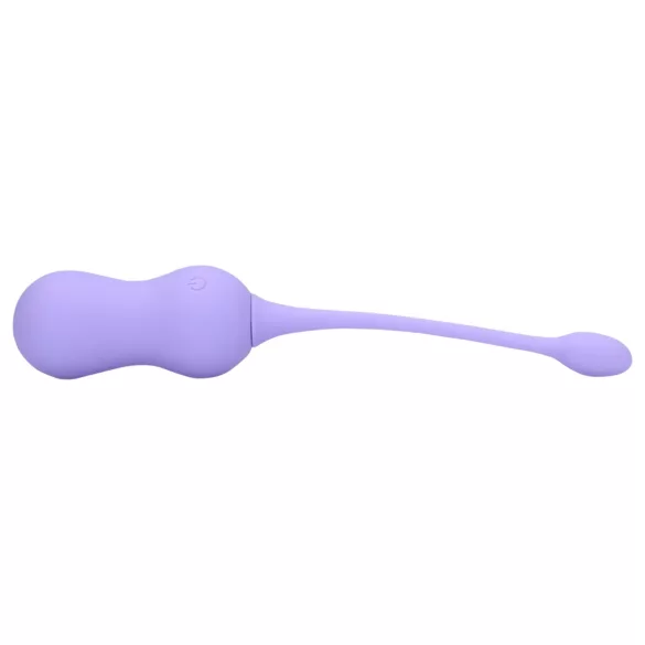 Loveline - Akku-Vibrations-Geschenk aus Radio (lila)