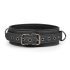 Easytoys - Fetisch Halsband und Leine (schwarz)