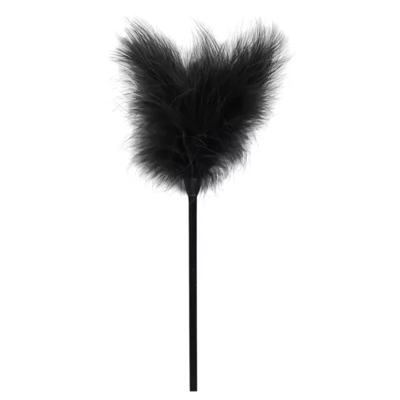 Secret Pleasure Chest - BDSM-Set für Fortgeschrittene - 14-teilig (schwarz)
