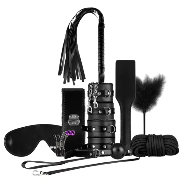 Secret Pleasure Chest - BDSM-Set für Fortgeschrittene - 14-teilig (schwarz)