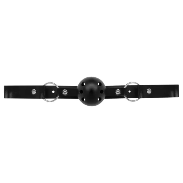 Secret Pleasure Chest - BDSM-Set für Fortgeschrittene - 14-teilig (schwarz)