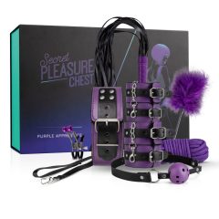   Secret Pleasure Chest - BDSM-Set für Fortgeschrittene (14 Teile)