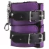Secret Pleasure Chest - Fortgeschrittenes BDSM-Set (14-teilig)