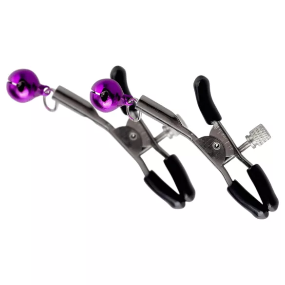 Secret Pleasure Chest - Fortgeschrittenes BDSM-Set (14-teilig)