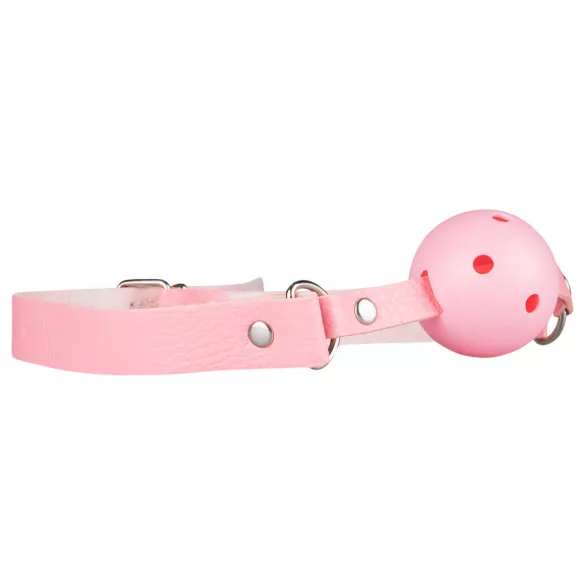 Secret Pleasure Chest - Fortgeschrittenes BDSM-Set - 14-teilig (Pink)