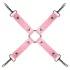 Secret Pleasure Chest - Fortgeschrittenes BDSM-Set - 14-teilig (Pink)