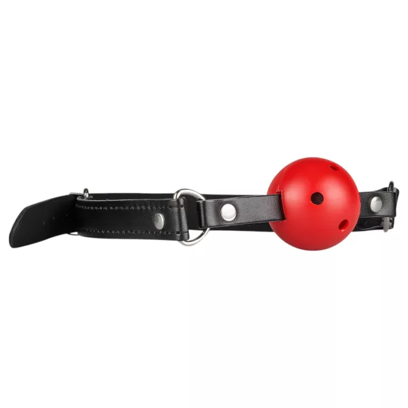 Secret Pleasure Chest - Fortgeschrittenes BDSM-Set - 10-teilig (rot)