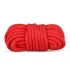 Secret Pleasure Chest - Fortgeschrittenes BDSM-Set - 10-teilig (rot)