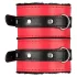 Secret Pleasure Chest - Fortgeschrittenes BDSM-Set - 10-teilig (rot)