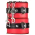 Secret Pleasure Chest - Fortgeschrittenes BDSM-Set - 10-teilig (rot)