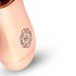 Roségold Mini-Wand - Wiederaufladbarer Massagestab