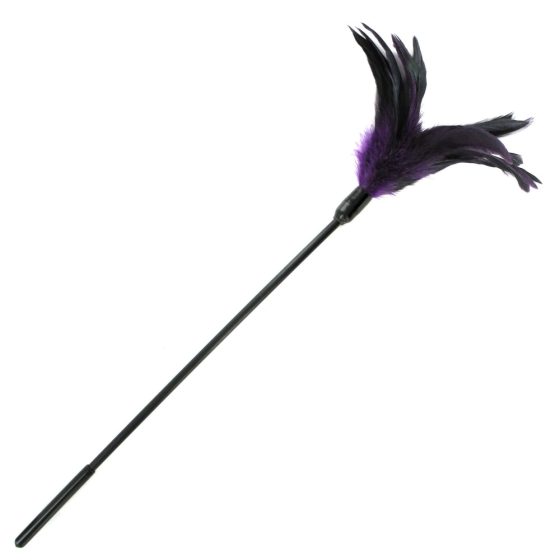 Sportsheets - Federkitzler mit langem Griff (violett-schwarz)