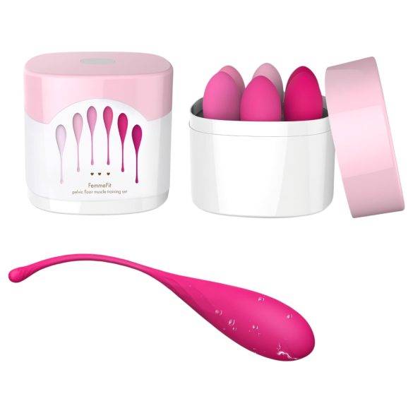 FEELZTOYS Femmefit - 6-teiliges Liebeskugel-Set
