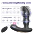 Aixiasia Hiross - drehbarer Anal-Vibrator (schwarz)