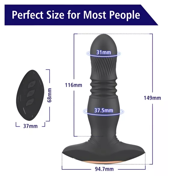 Aixiasia Roy - Akku-Radio-Analdildo (Schwarz)