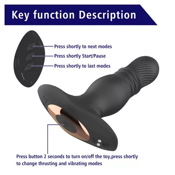 Aixiasia Roy - Akku-Radio-Analdildo (Schwarz)